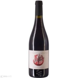 Domaine des Buis - Pauline Broqua, De Toute Façon le Vent Souffle 2022, 750 ml